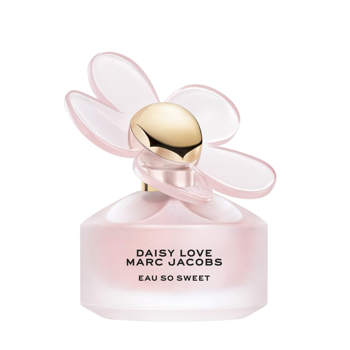 Floral Eau de Toilette Q392195