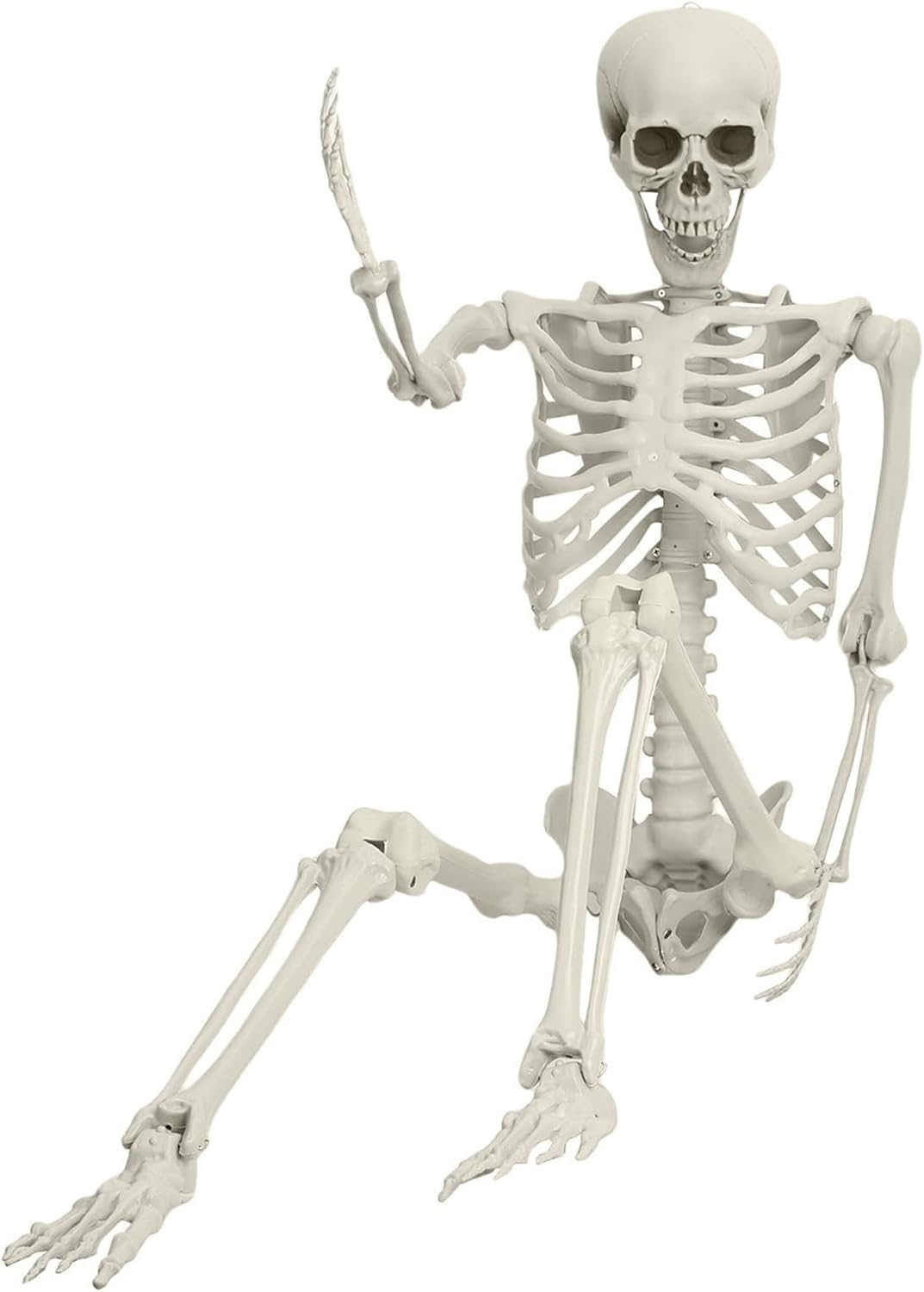 5.4ft Life Size Skeleton with Movable Joints N595