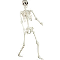 5.4 ft Posable Life Size Skeleton with Movable Joints U443716