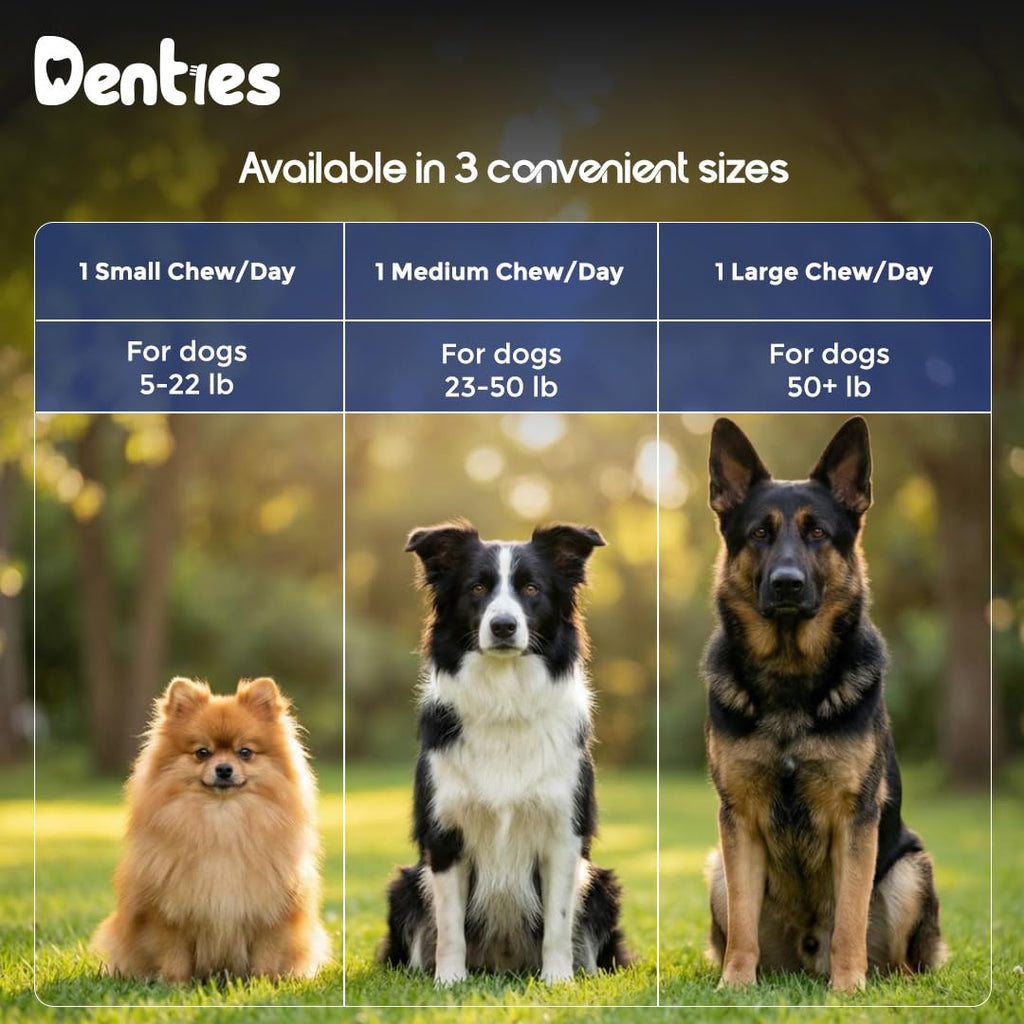 Dental Chews for Dogs 16oz 10 Count Z2039