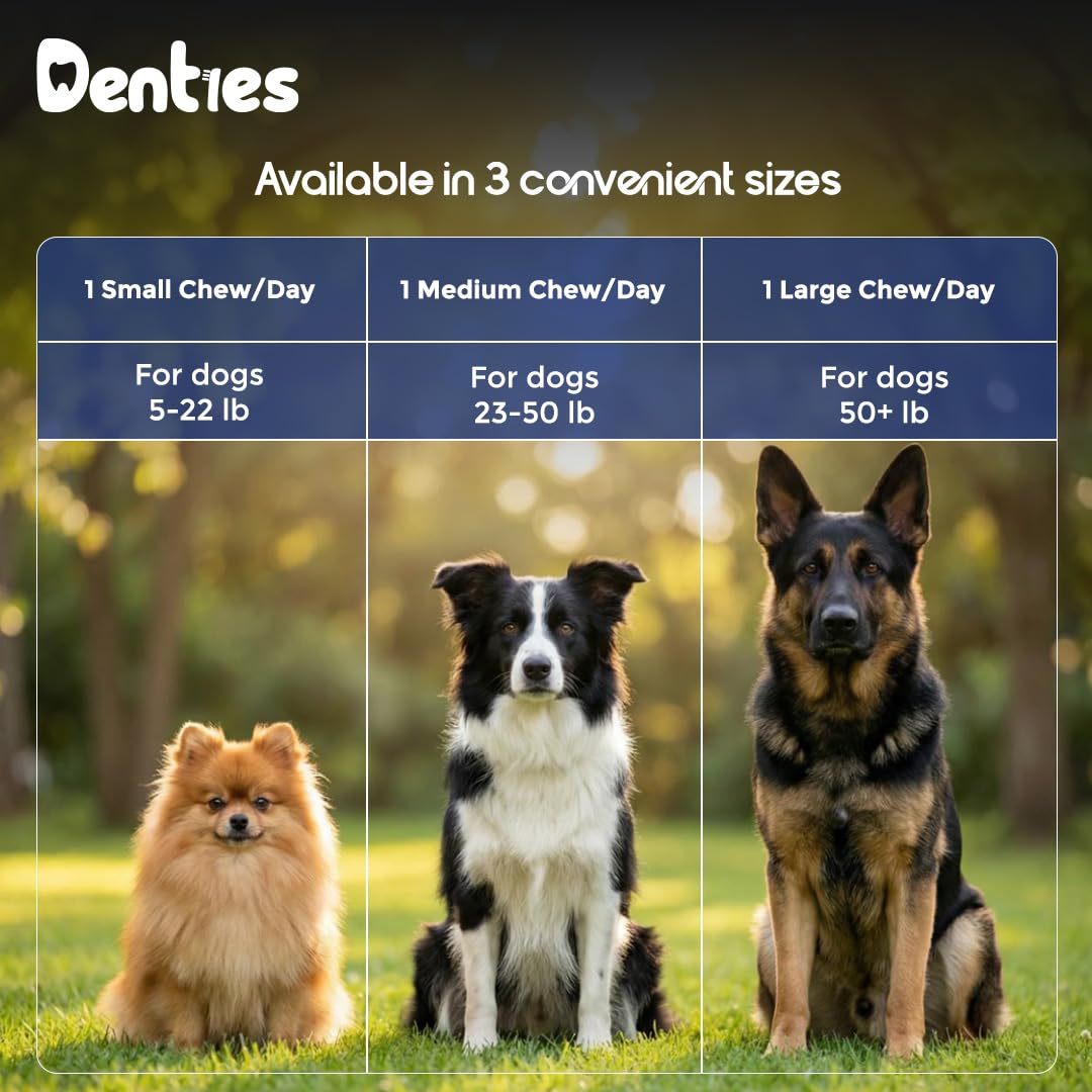 Dental Chews for Dogs 16oz 10 Count Z2039