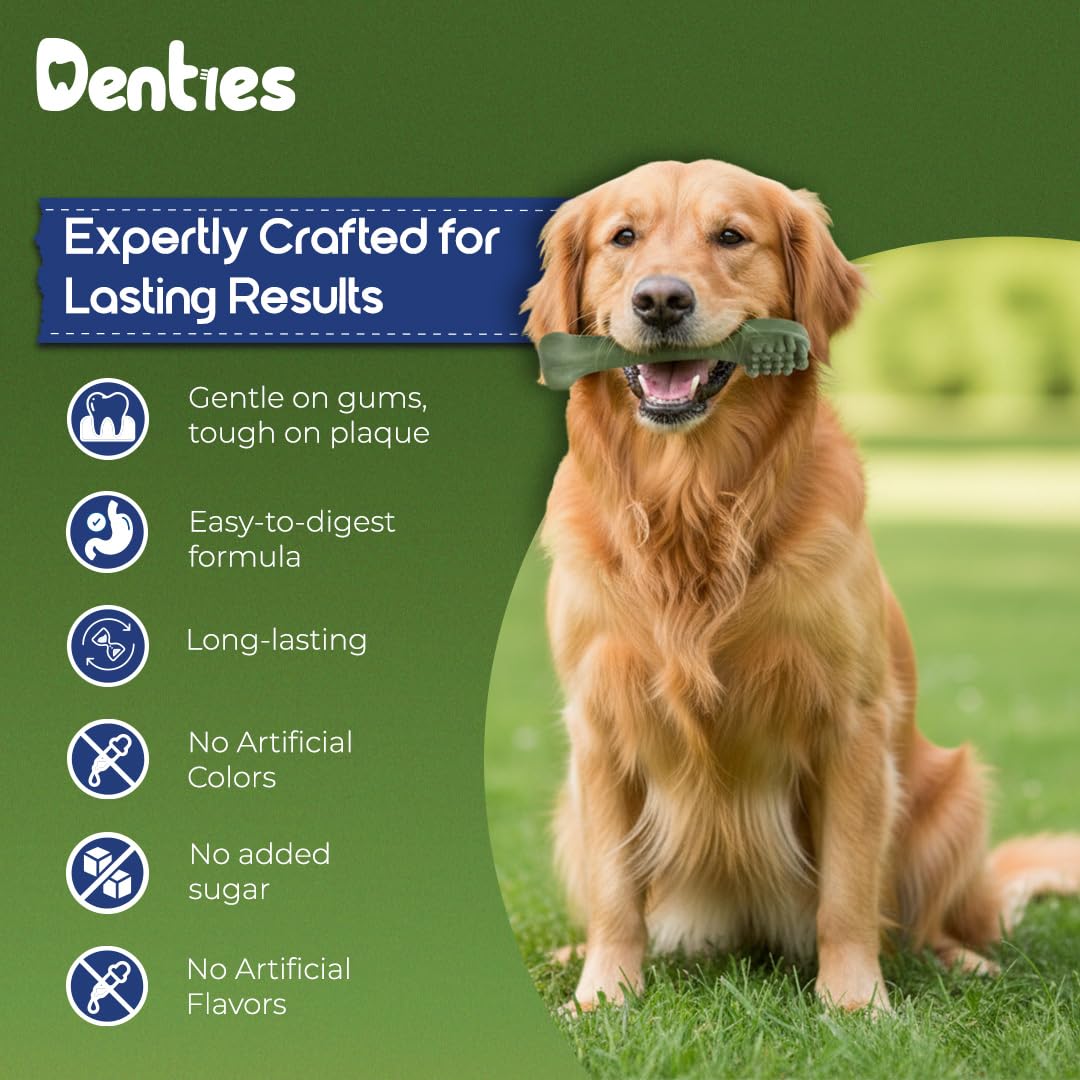Dental Chews for Dogs 16oz 10 Count Z2039