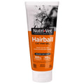 Salmon Flavor Hairball Gel for Cats L71557