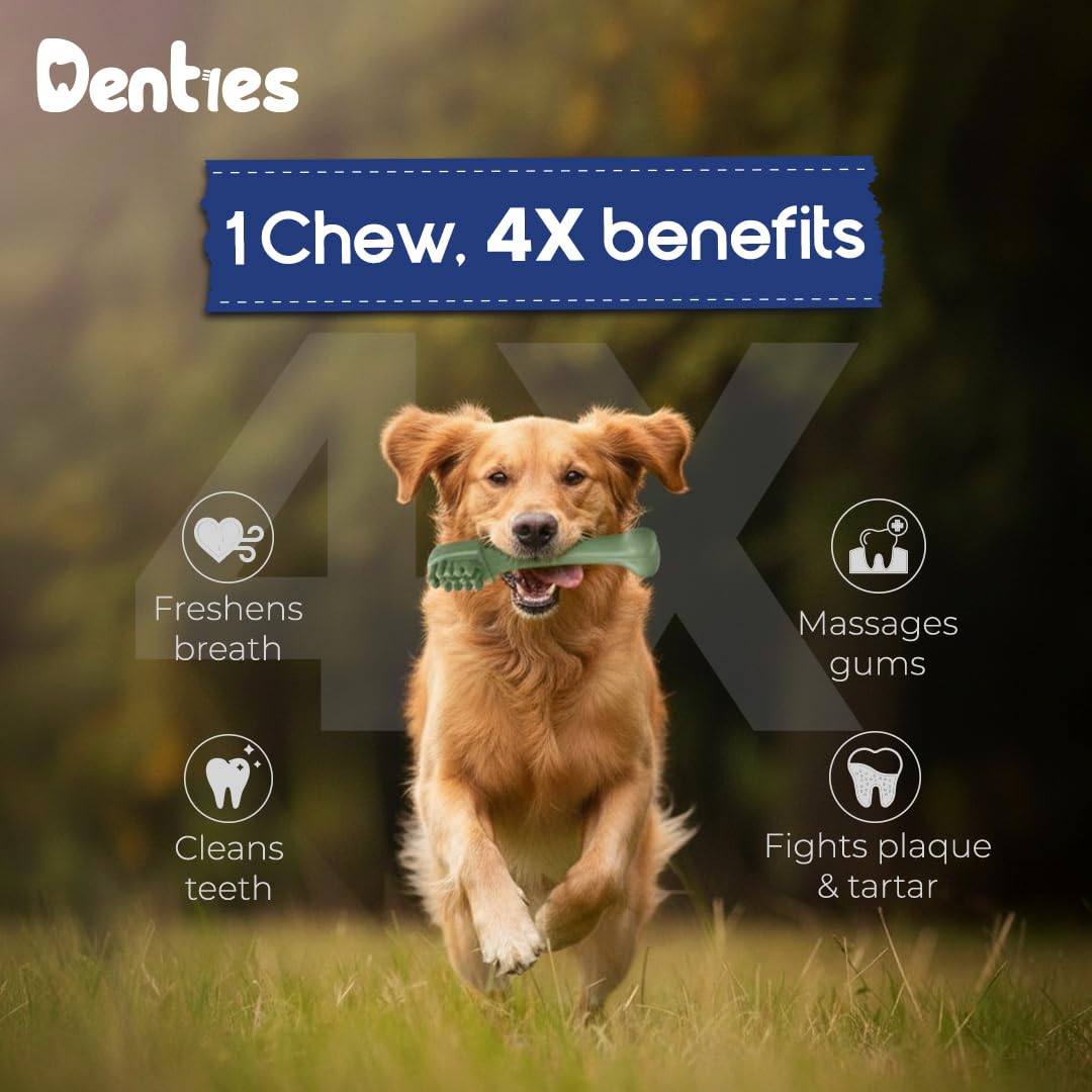 Dental Chews for Dogs 16oz 10 Count Z2039