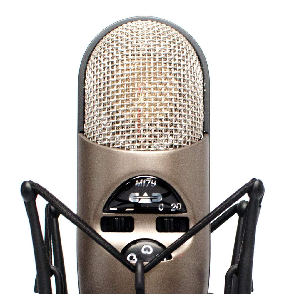 Large Diaphragm Condenser Microphone & USB Audio Interface F862474