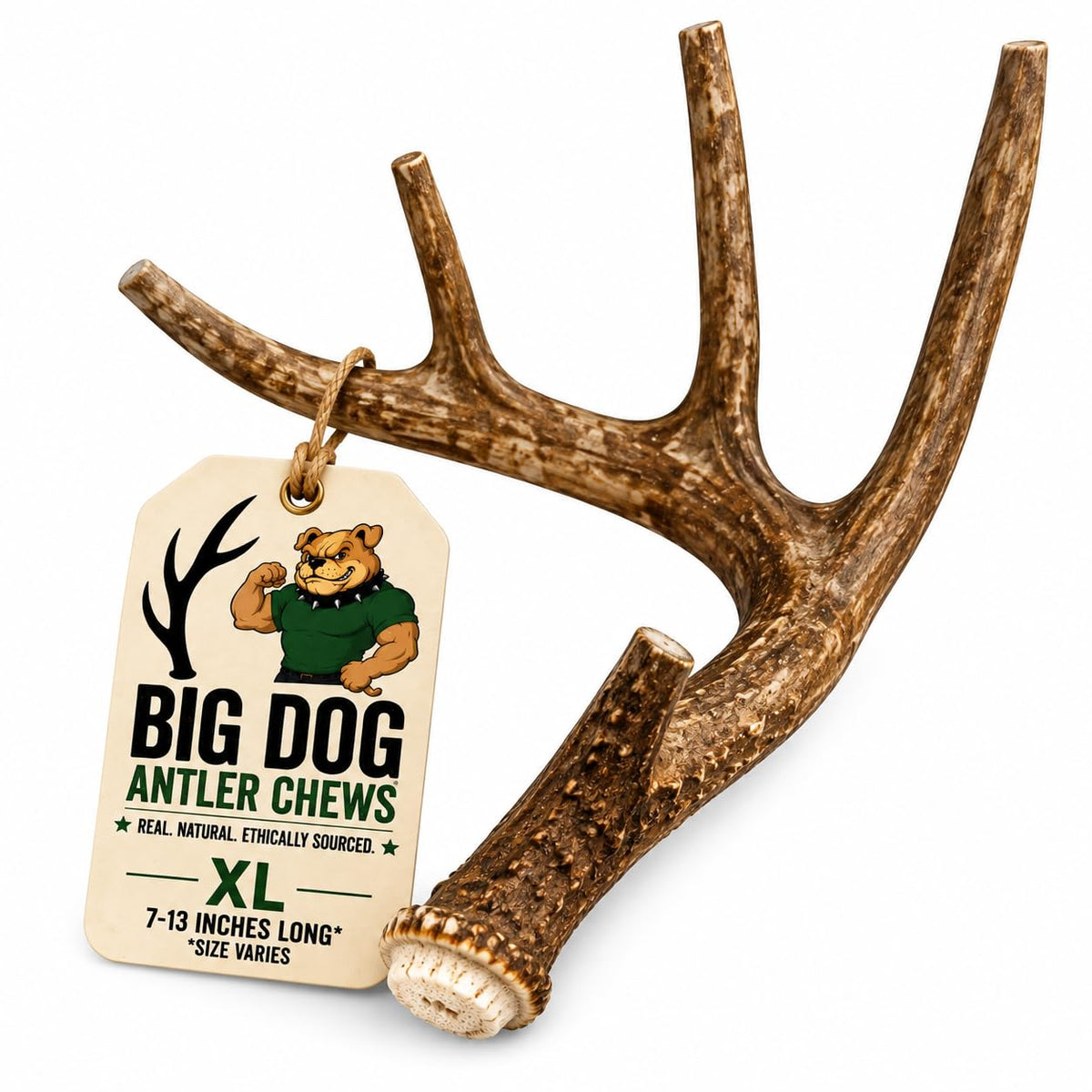 XL Deer Antler Dog Chew U22808