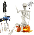 5.4ft Life Size Skeleton with Movable Joints N595