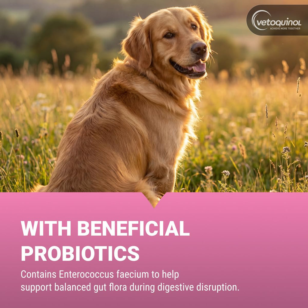 Chewable Probiotic for Pets 250 Count I735