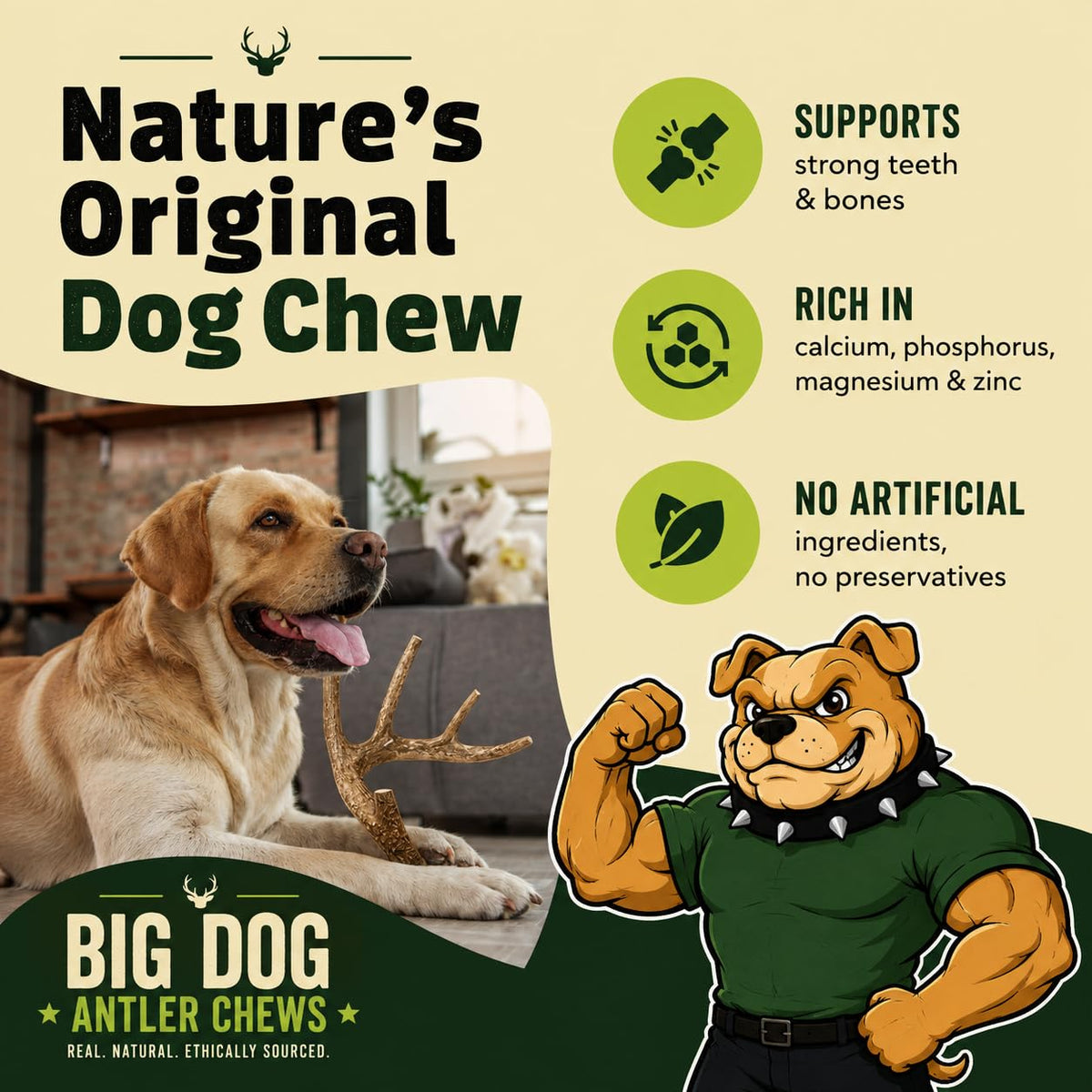 XL Deer Antler Dog Chew U22808