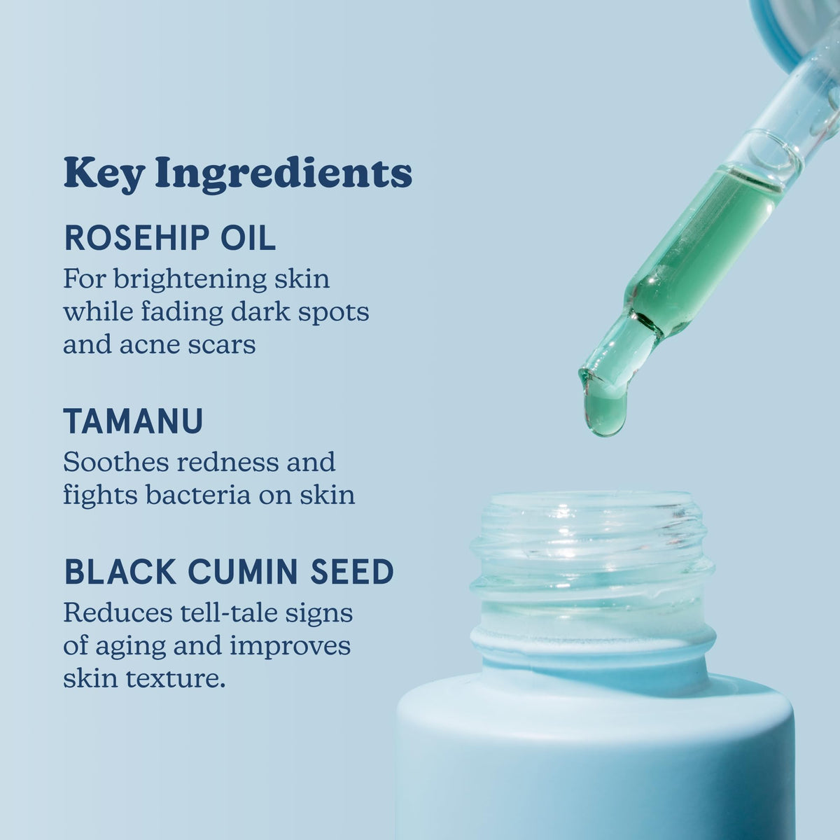 Vitamin C Serum and Blue Tansy Face Oil Duo C9133