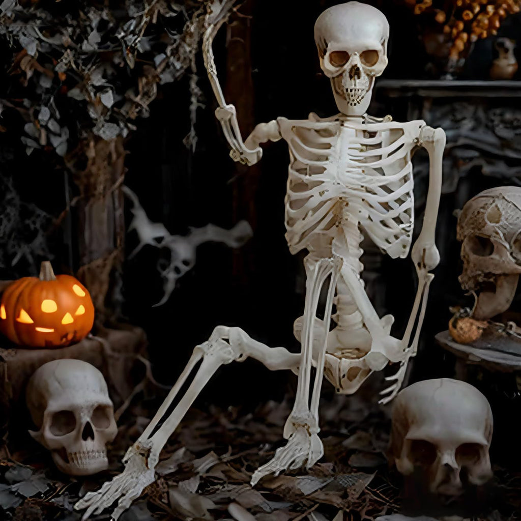 5.4ft Life Size Skeleton with Movable Joints N595
