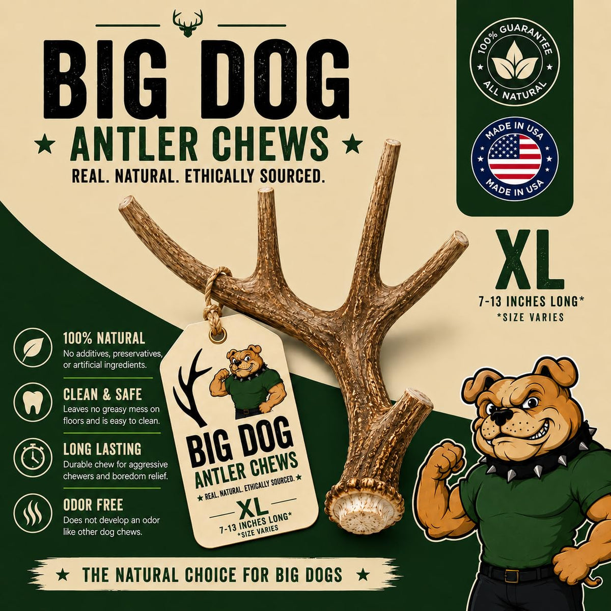 XL Deer Antler Dog Chew U22808
