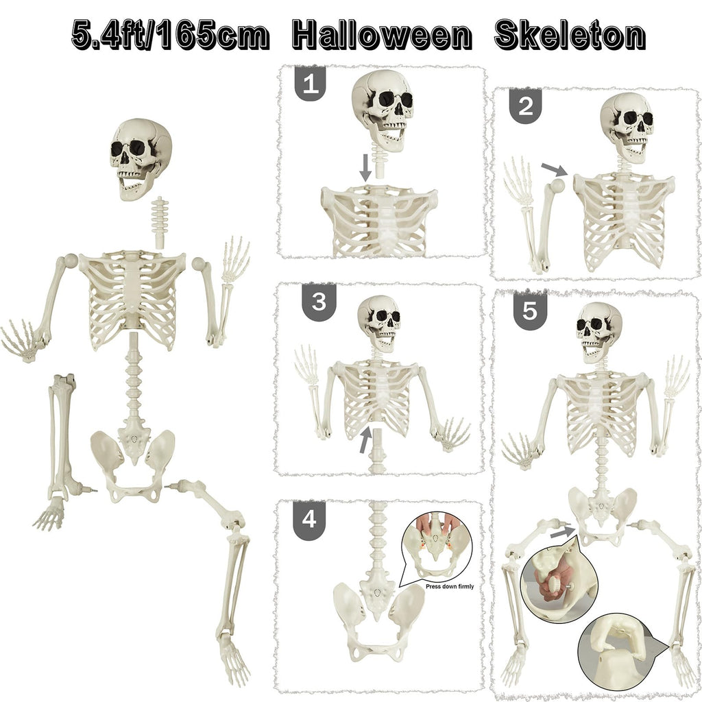 5.4 ft Posable Life Size Skeleton with Movable Joints U443716