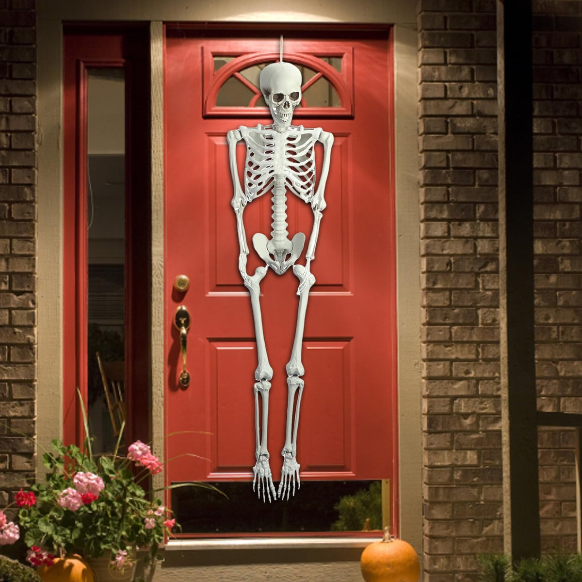 5.4FT Life Size Poseable Human Skeleton Prop W472562