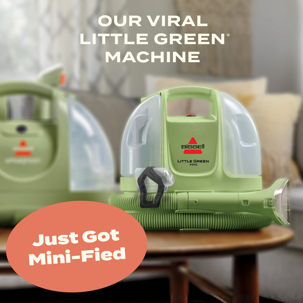 Portable Carpet Cleaner F303047