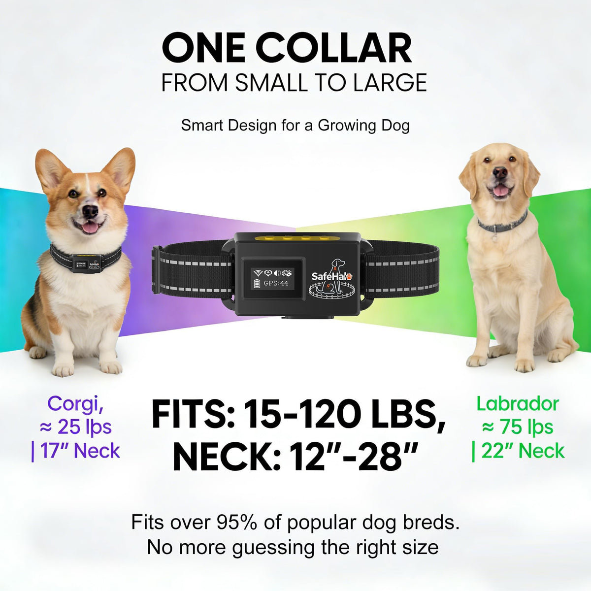 Wireless GPS Dog Fence Collar, 65–9,840 ft Radius, IPX7 Waterproof J13642
