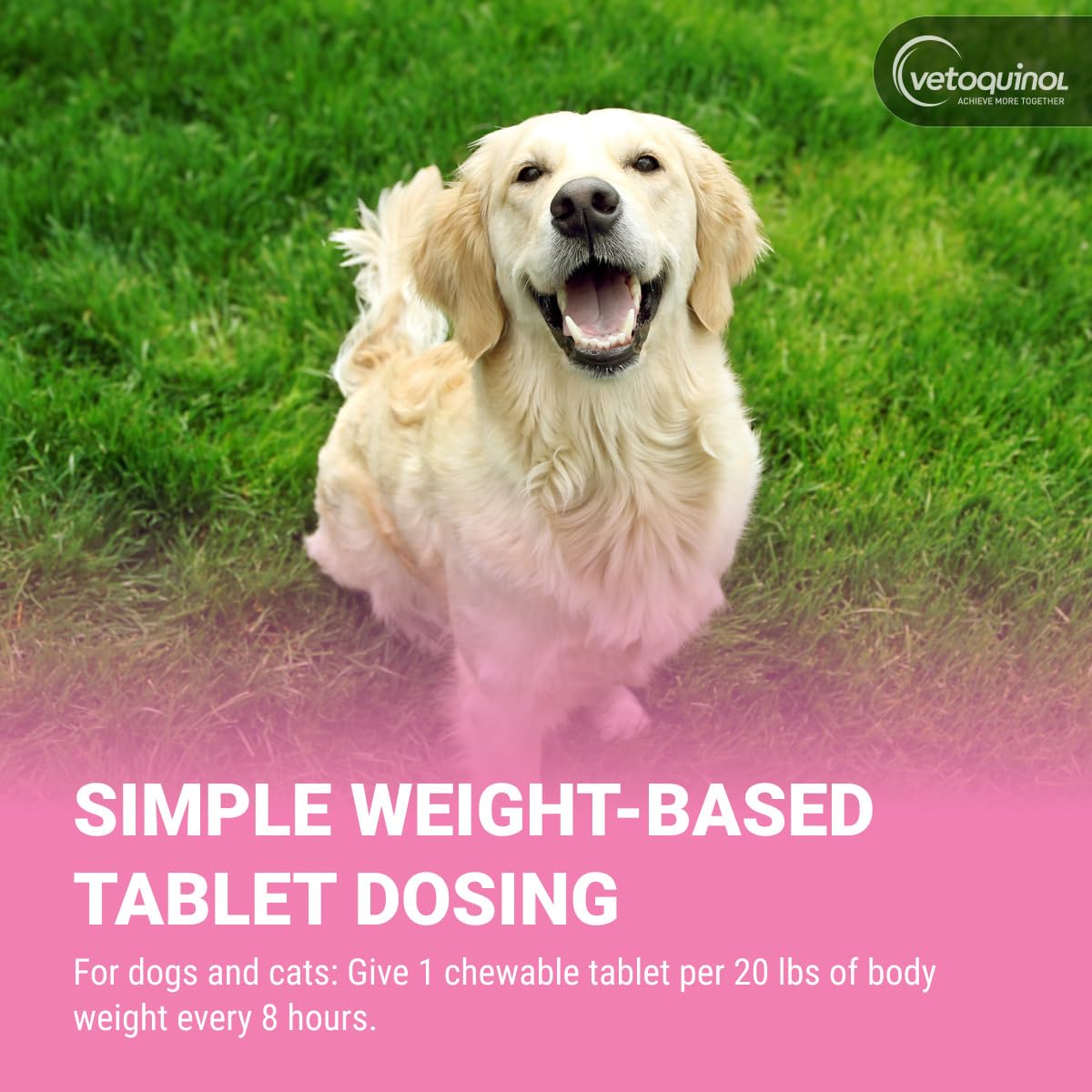 Chewable Probiotic for Pets 250 Count I735