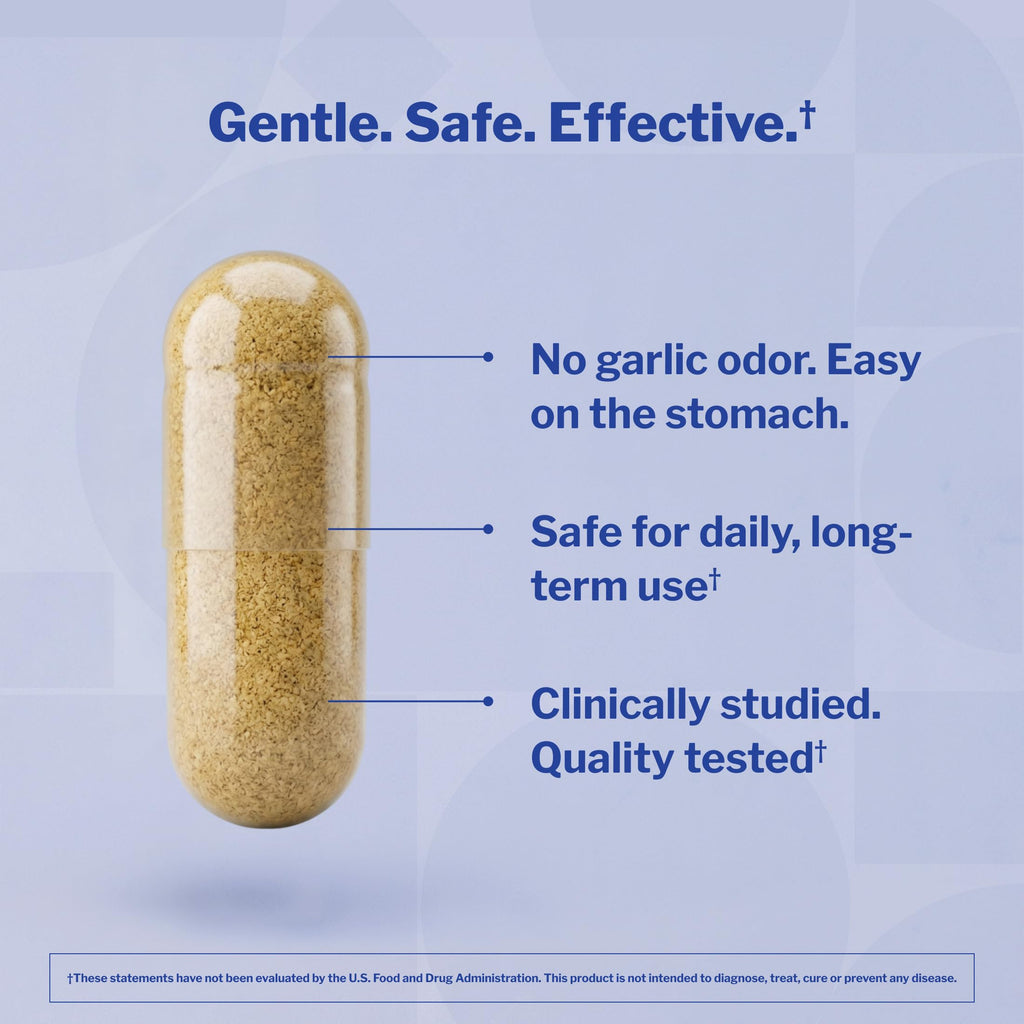 Aged Garlic Extract 300 Capsules K6801