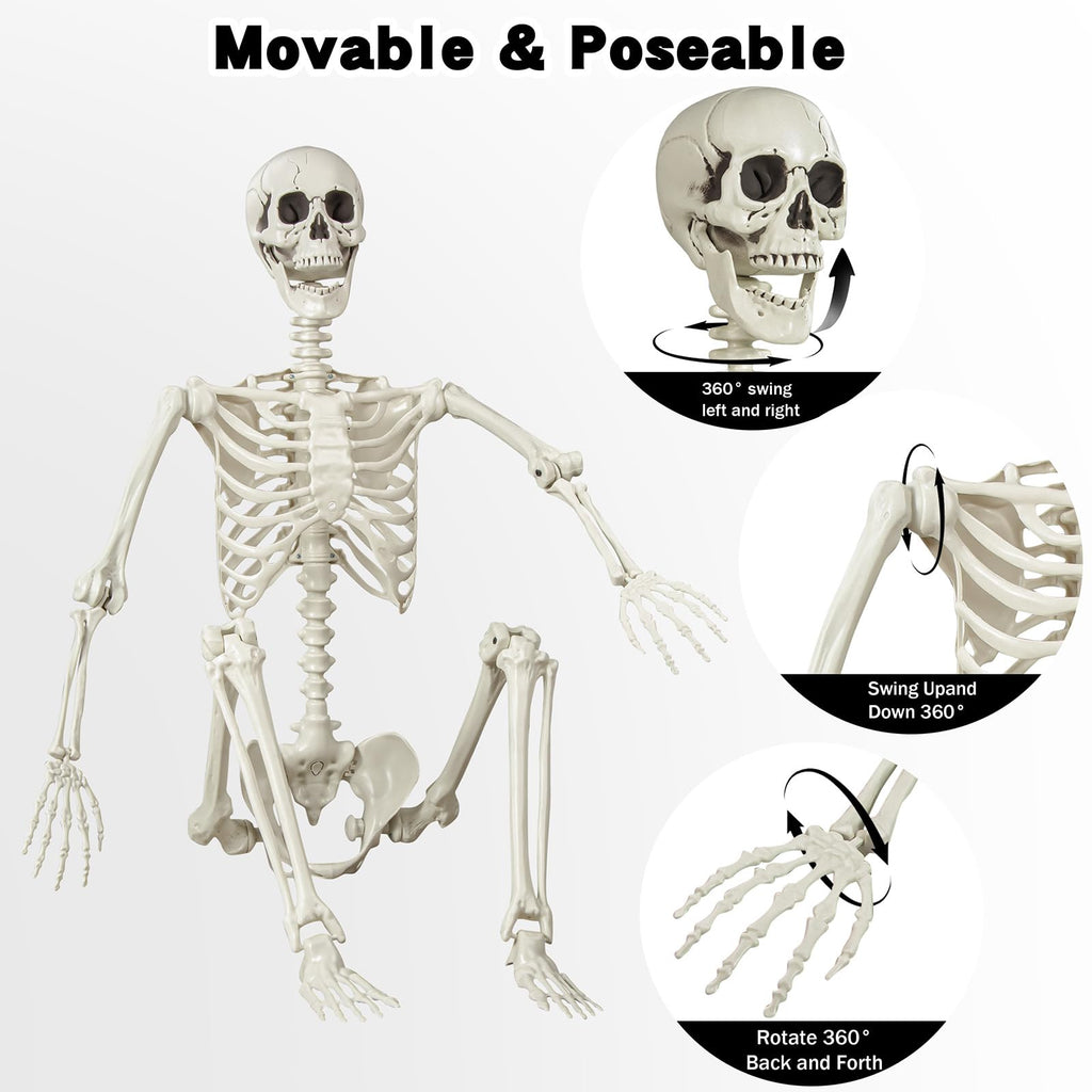 5.4 ft Posable Life Size Skeleton with Movable Joints U443716