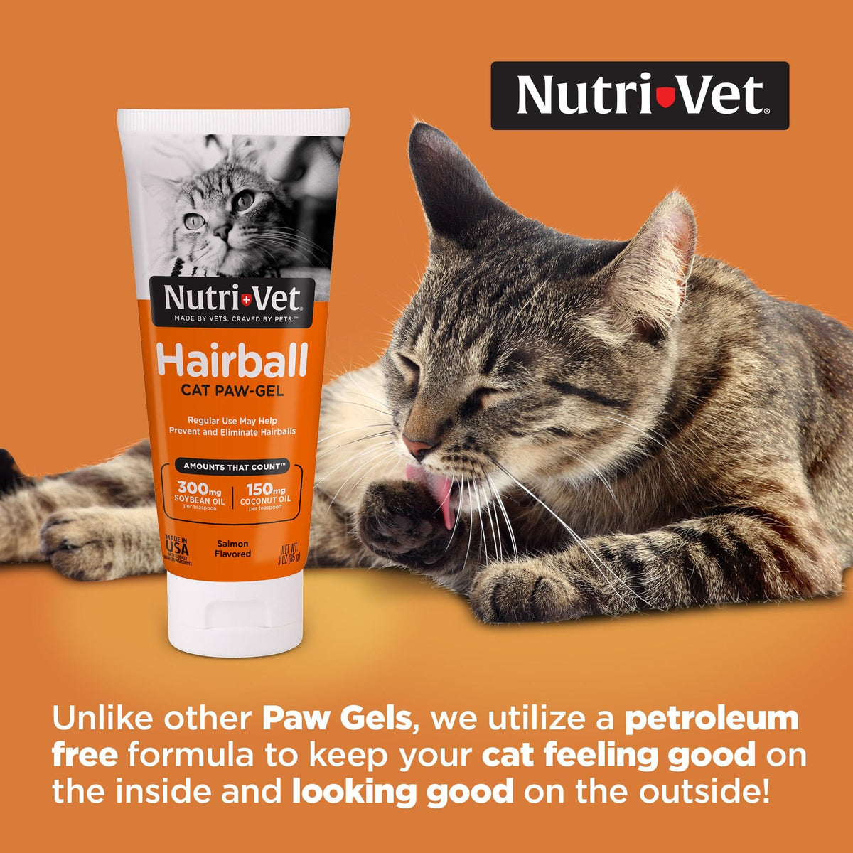 Salmon Flavor Hairball Gel for Cats L71557