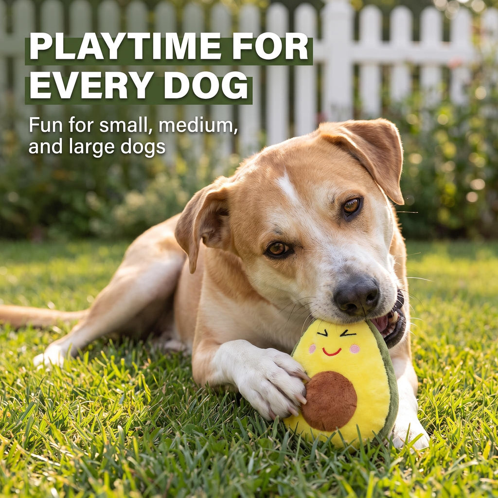 Squeaky Plush Avocado Dog Chew Toy R194333