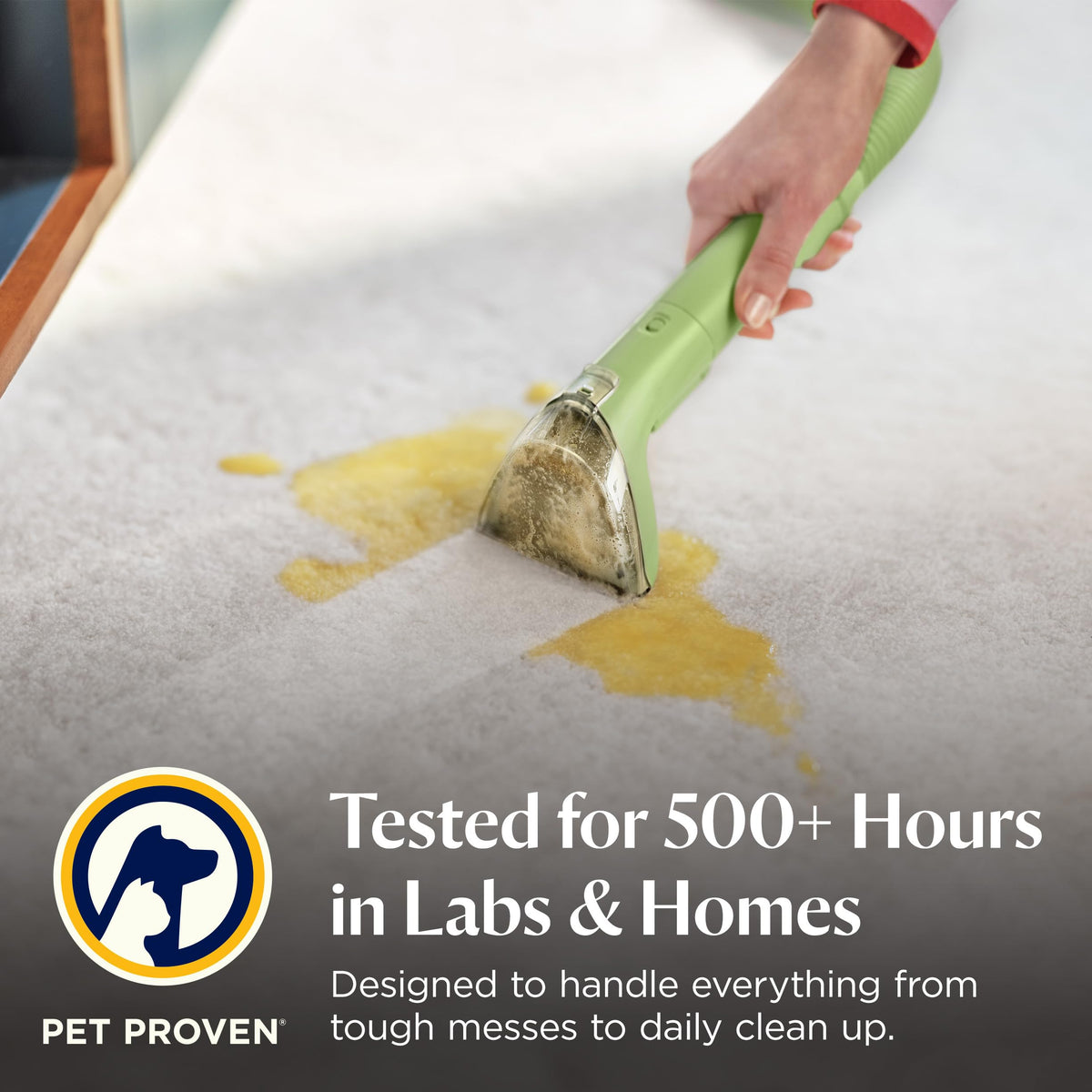 Portable Carpet Cleaner F303047