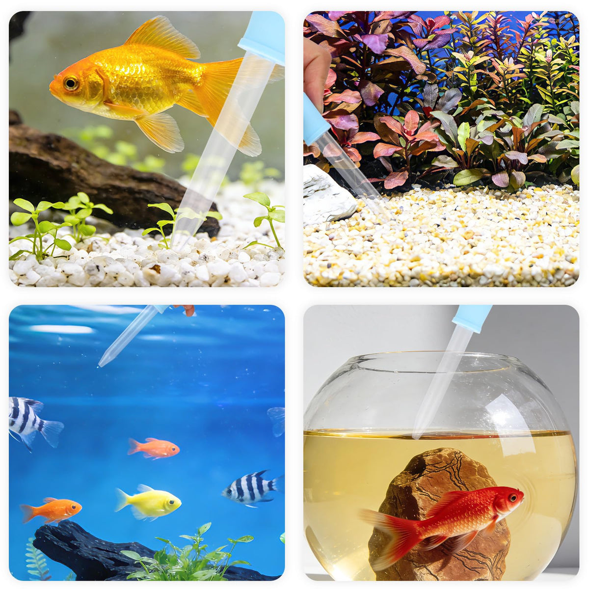 Aquarium Cleaning Tools Kit with Sponge Scrubbers and Brushes F56256