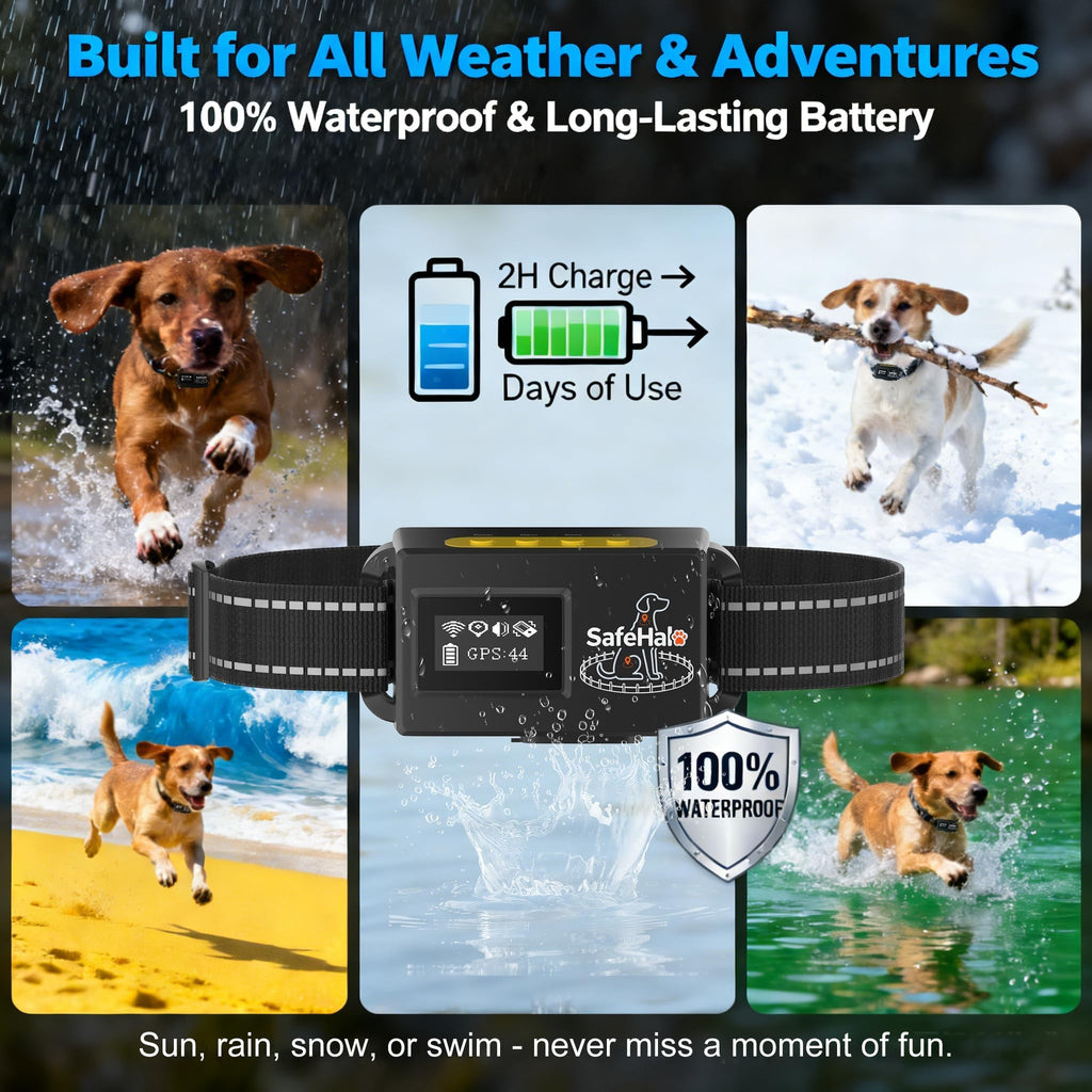 Wireless GPS Dog Fence Collar, 65–9,840 ft Radius, IPX7 Waterproof J13642