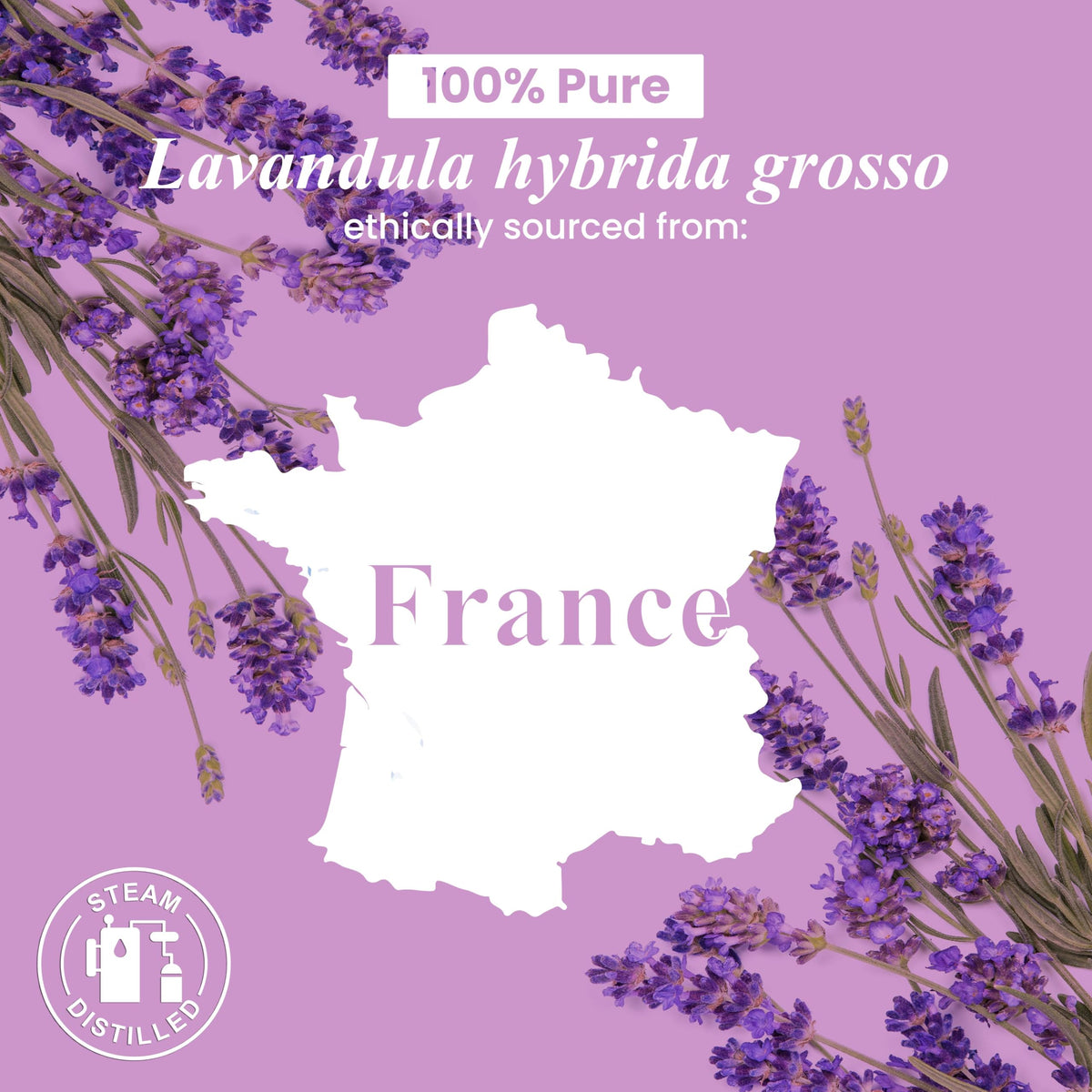 Lavender and Orange Essential Oils 2 x 4 Fl Oz U581