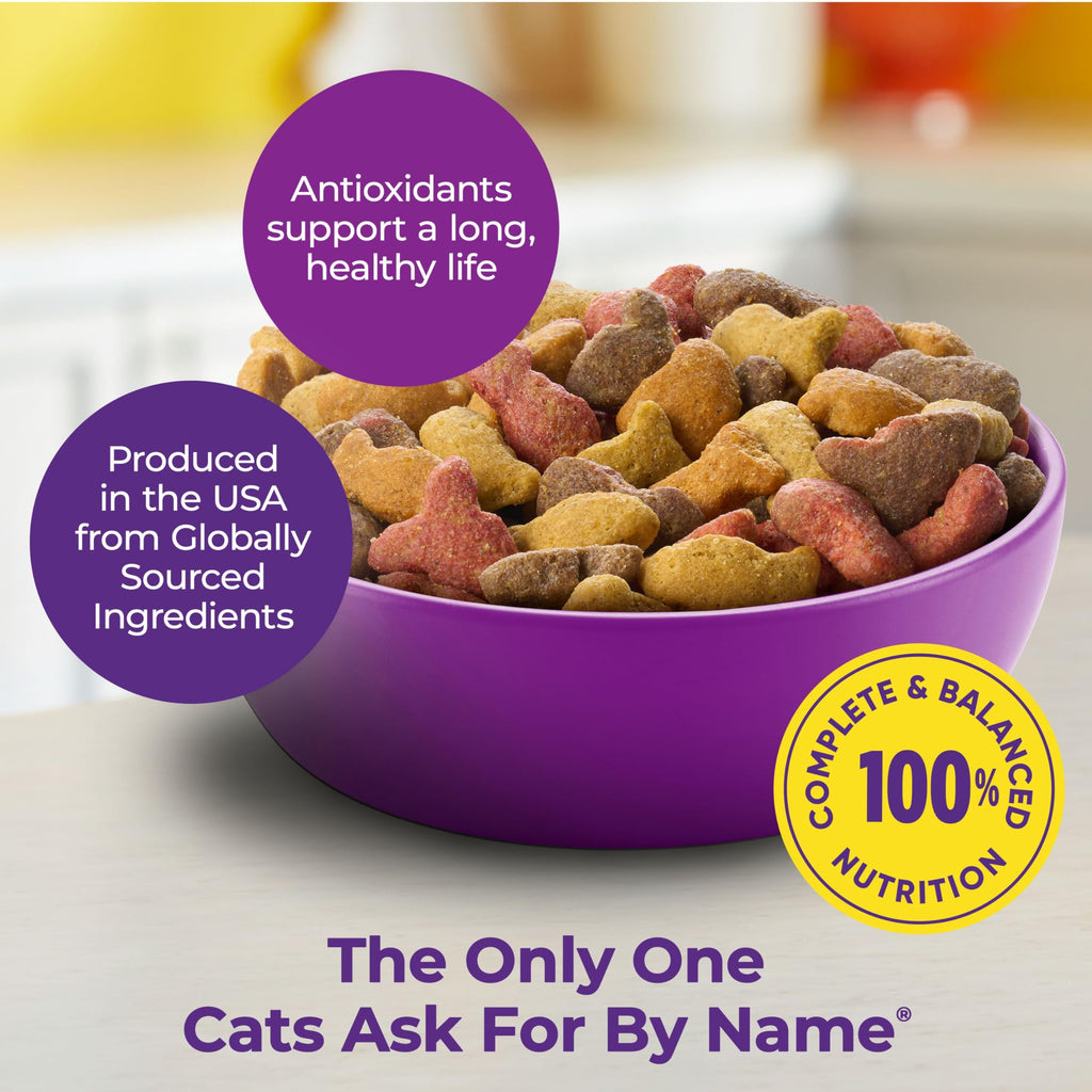 Dry Cat Food 6.3 Pound Bag + Wet Cat Food Variety Pack 2.75 Ounce Cups (Pack of 24) B22144