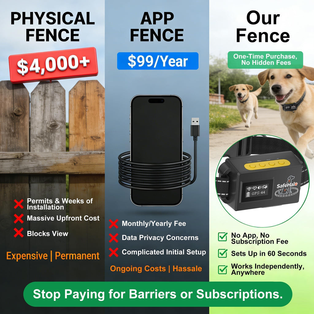 Wireless GPS Dog Fence Collar, 65–9,840 ft Radius, IPX7 Waterproof J13642