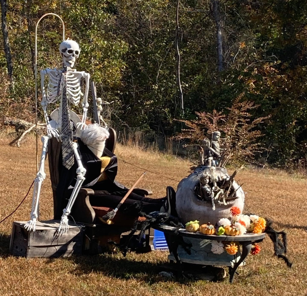 5.4ft Life Size Skeleton with Movable Joints N595