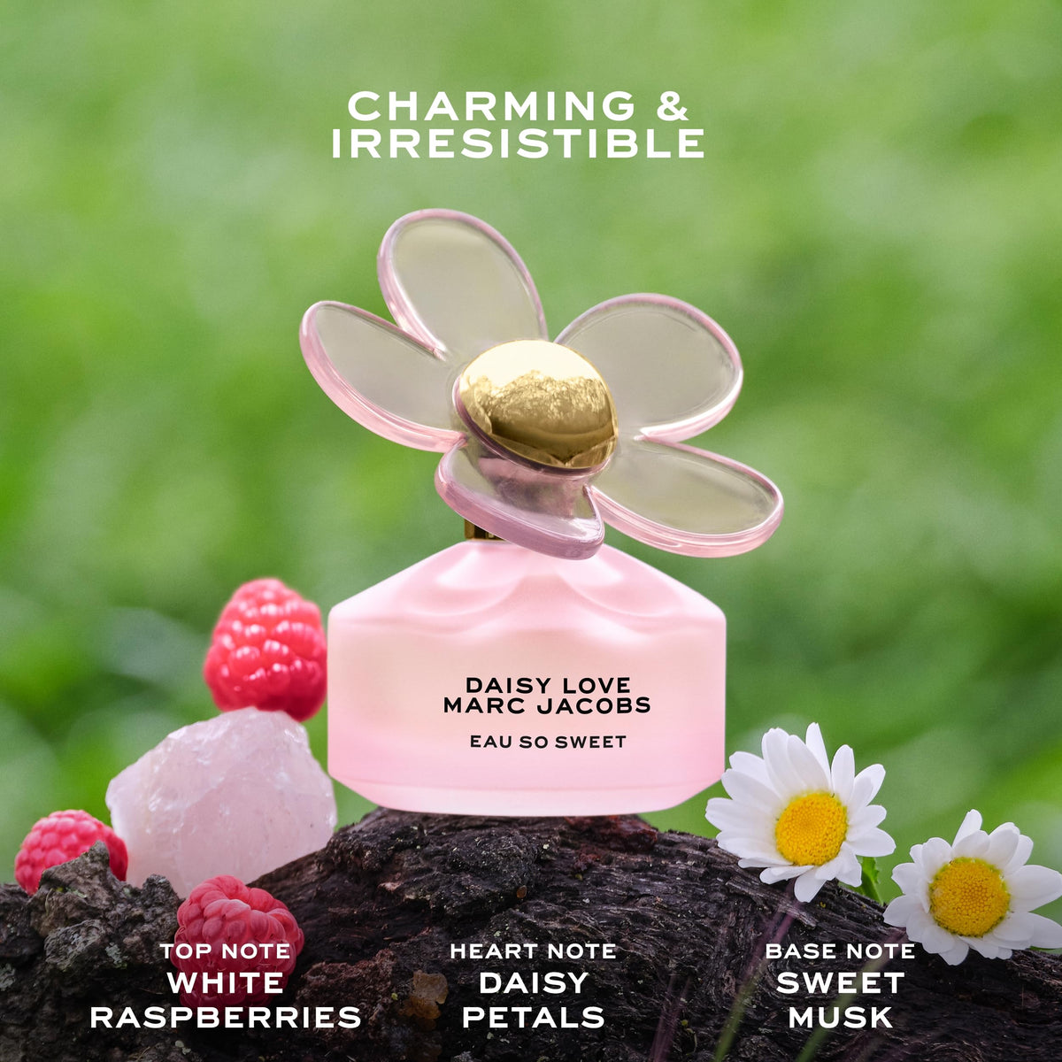 Floral Eau de Toilette Q392195