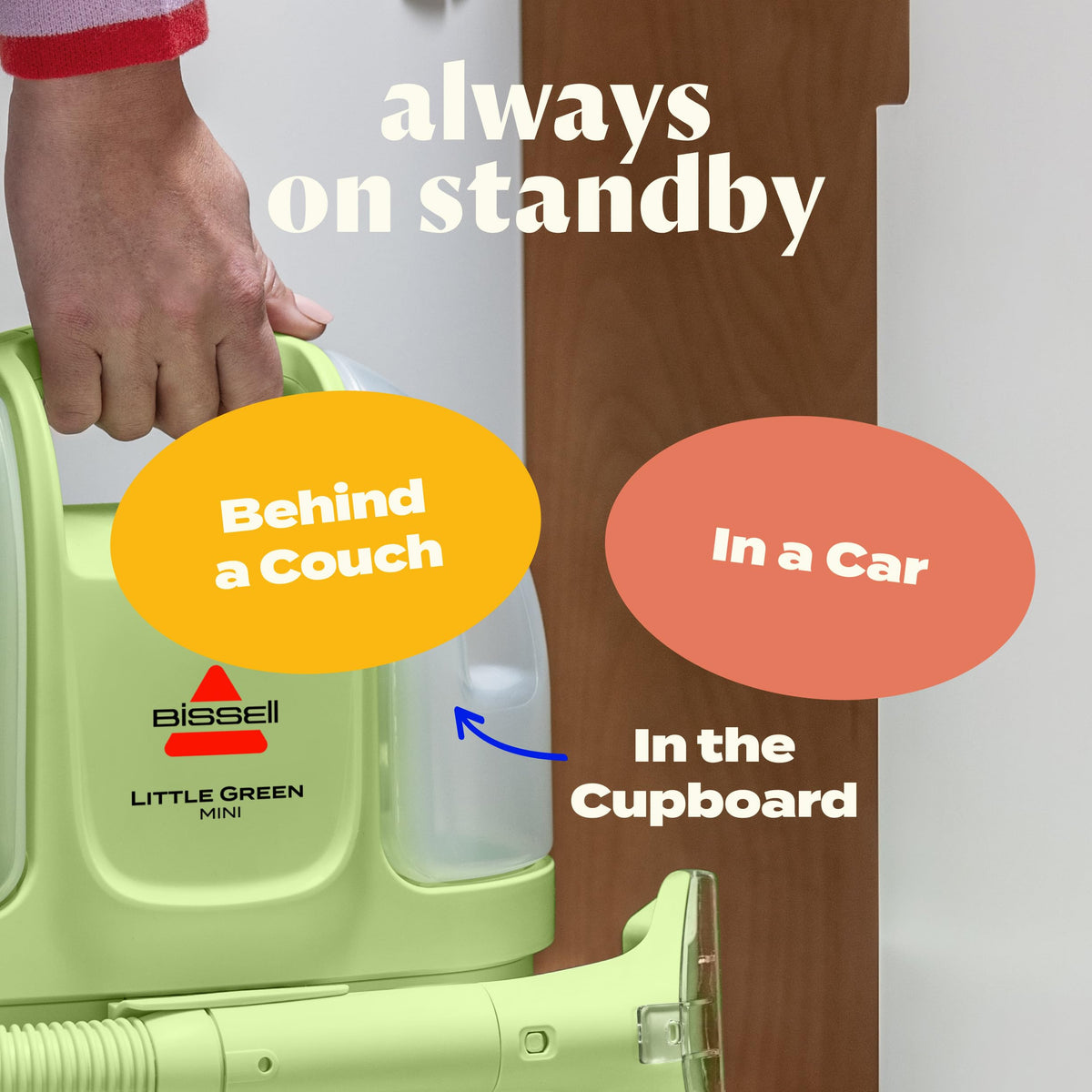 Portable Carpet Cleaner F303047