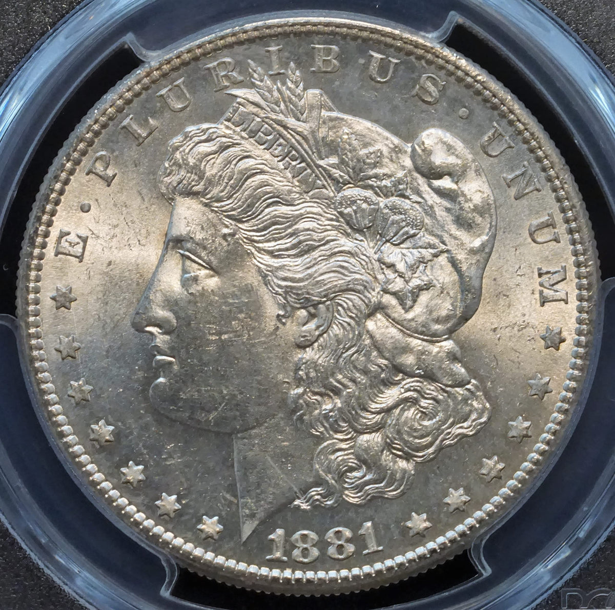 Morgan Silver Dollar $1 D32625
